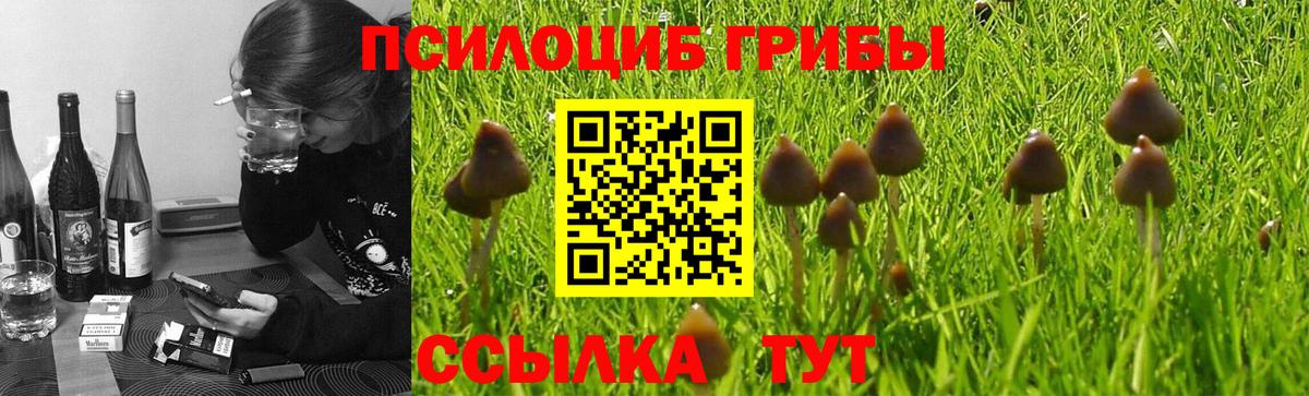 Выборг  Псилоцибиновые грибы ЛСД  Вход с VPN 